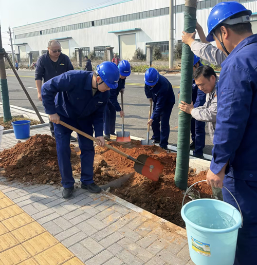 植一抹新绿，种一份希望