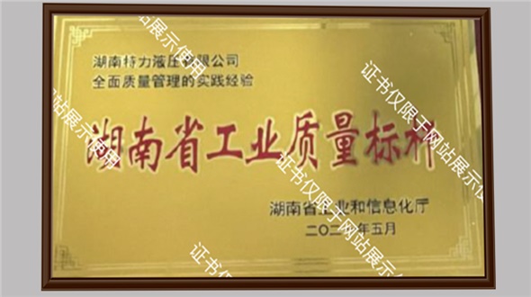 湖南省工业质量标杆